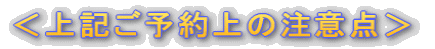 ����L���\���̒��ӓ_��